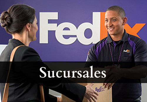 Fedex en León - Sucursales