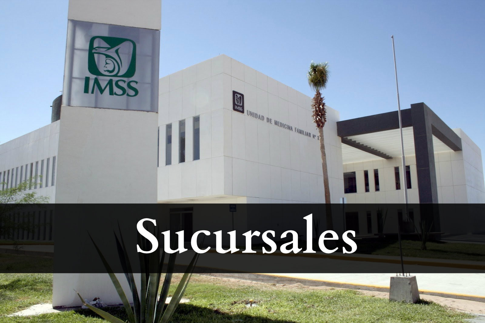 IMSS Aguascalientes