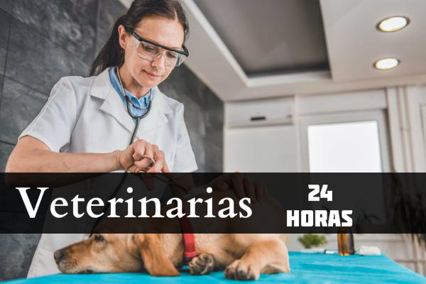 Veterinarias 24 horas Pereira