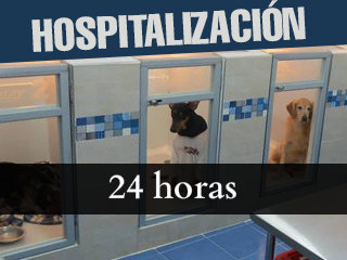 Veterinarias Cali
