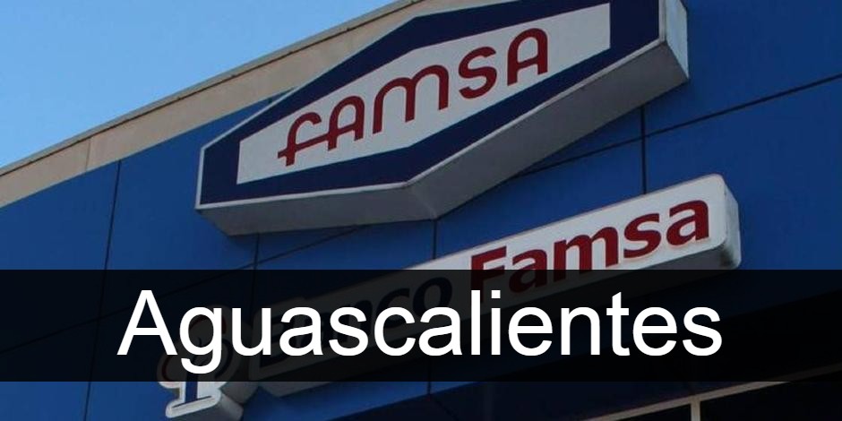 Famsa Aguascalientes
