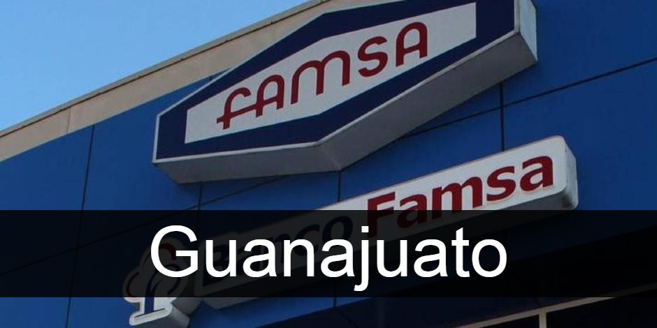 Famsa Guanajuato