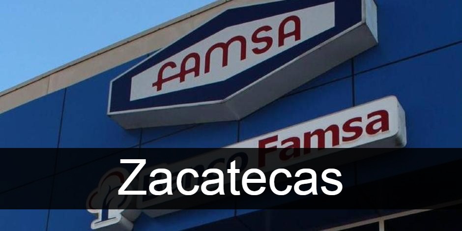 Famsa Zacatecas