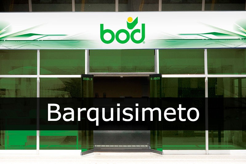 bod Barquisimeto