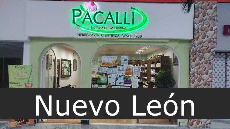 Pacalli Nuevo León