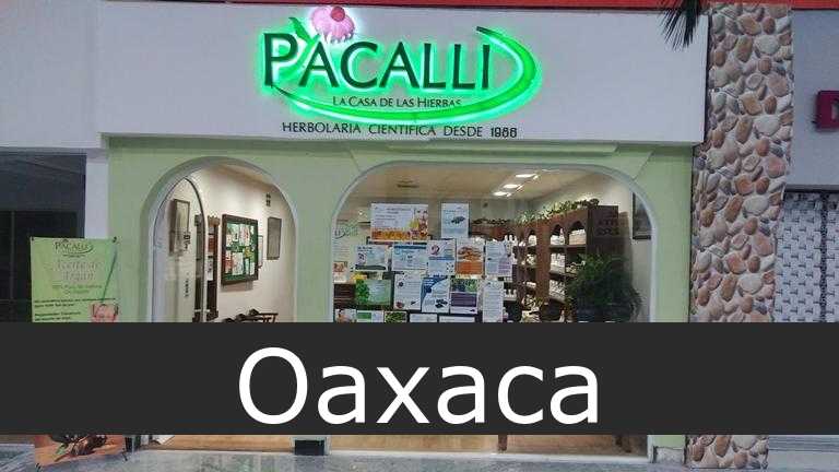 Pacalli Oaxaca
