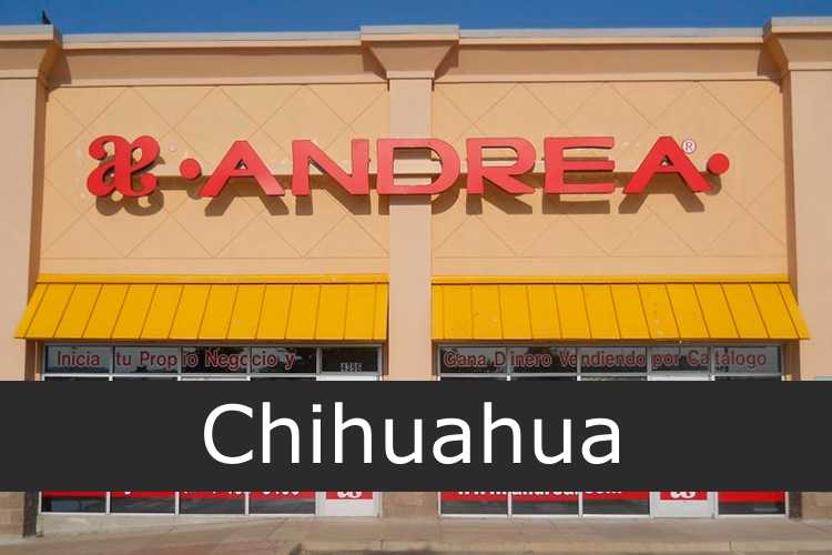 Andrea Chihuahua