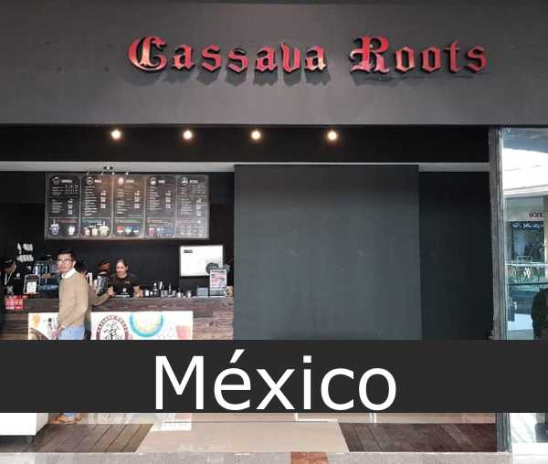 Cassava Roots México