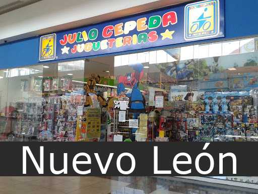 julio cepeda jugueterias Nuevo León