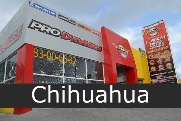 prodynamics Chihuahua