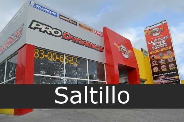 prodynamics Saltillo
