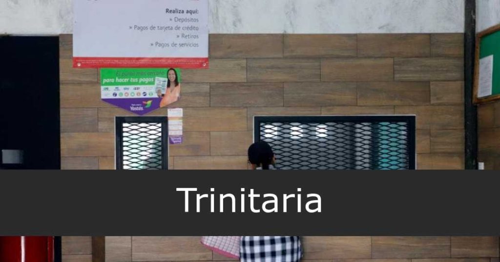 Puntos Yastás Trinitaria