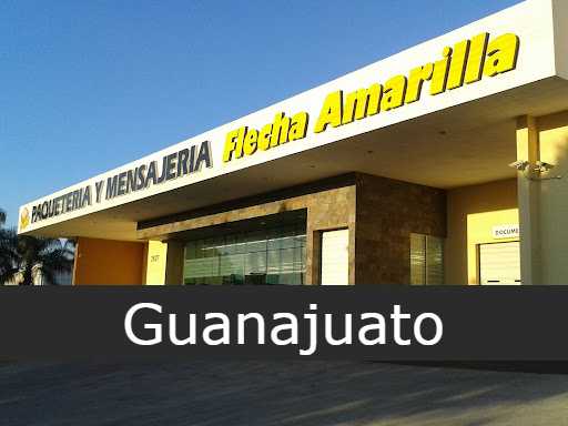 Paqueteria Flecha Amarrilla Guanajuato