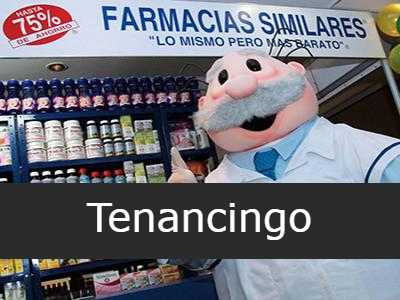 Farmacias similares Tenancingo