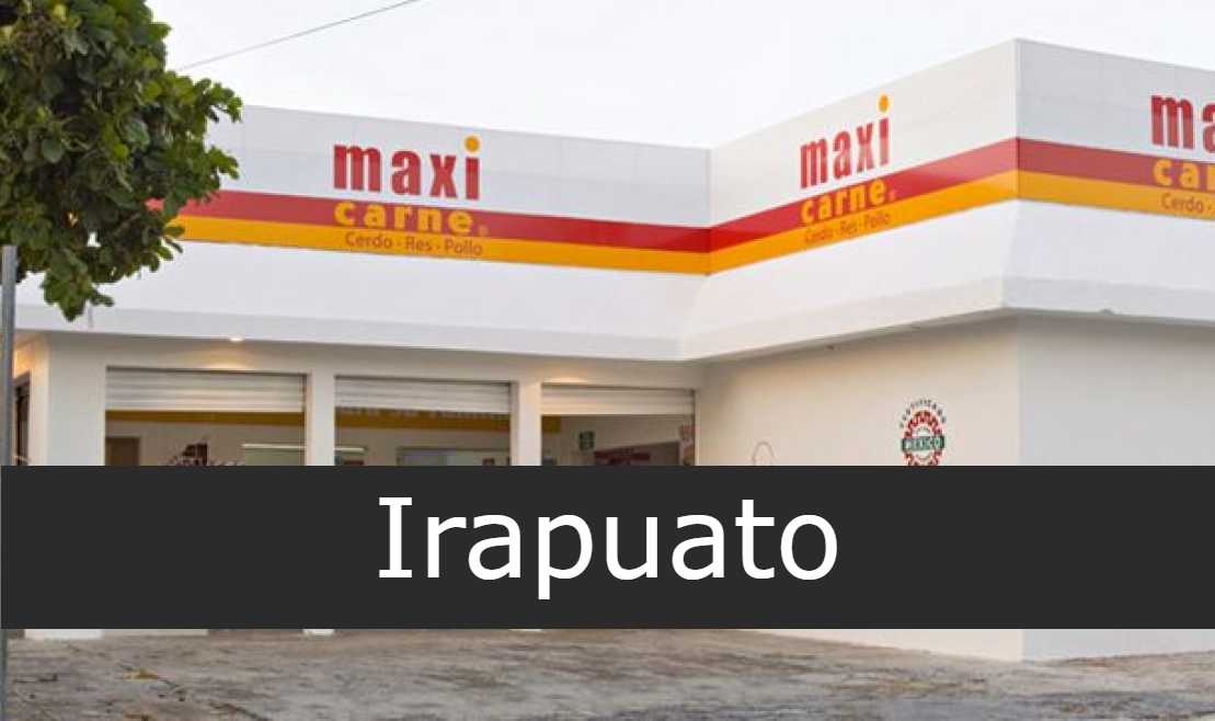 Maxicarne en Irapuato - Sucursales