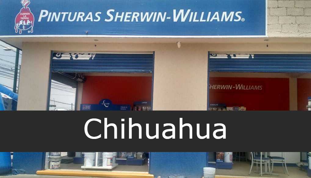 Sherwin Williams Chihuahua