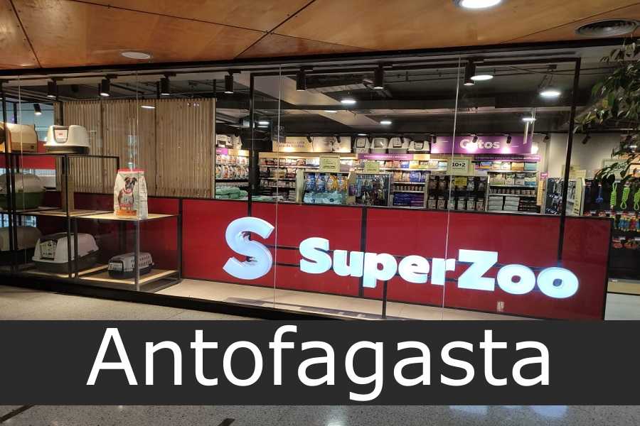 Superzoo Antofagasta