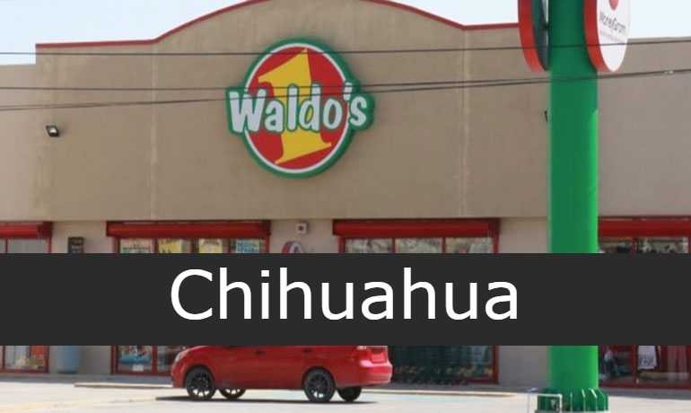 Waldos Chihuahua