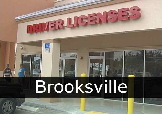 Licencia de conducir Brooksville