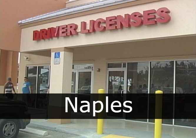 Licencia de conducir naples