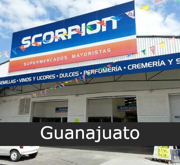 Scorpion Abarrotes Guanajuato