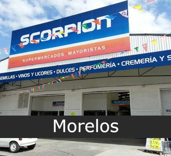 Scorpion Abarrotes Morelos