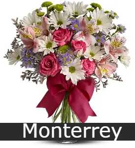 Flores y expresiones