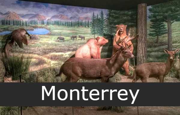 Museo de la Fauna