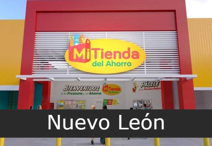 Mi Tienda Del Ahorro En Nuevo León Sucursales 0011