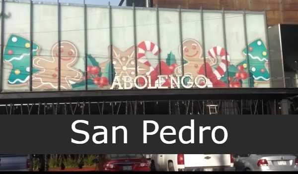 Arbolengo San Pedro