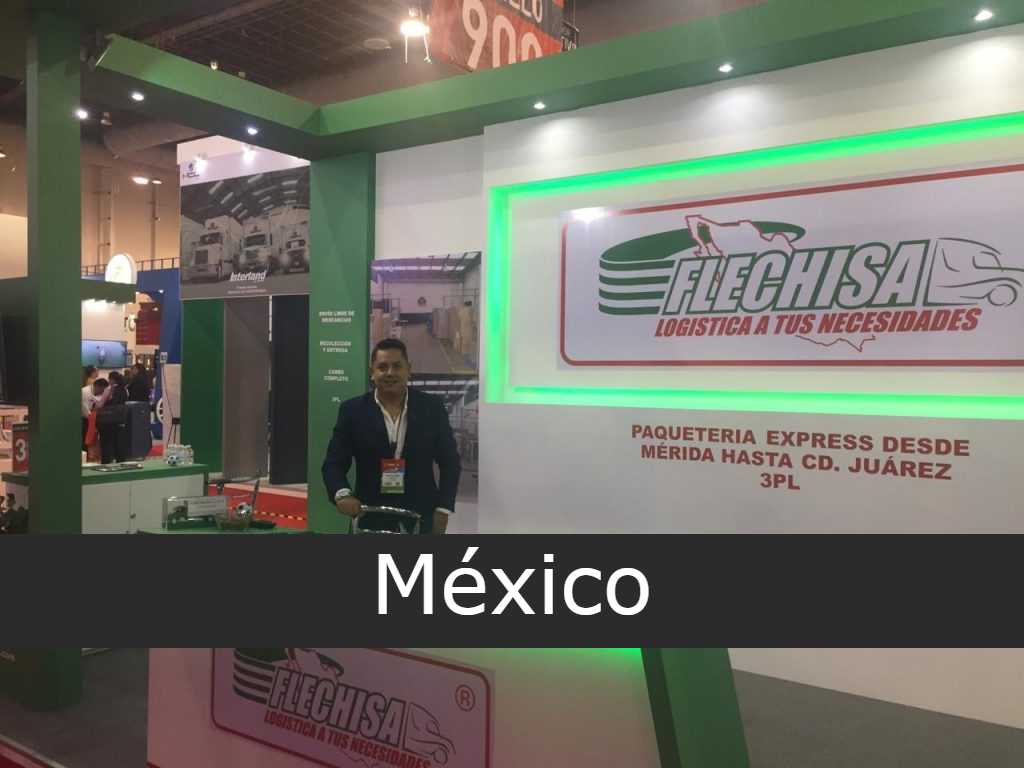 Flechisa México