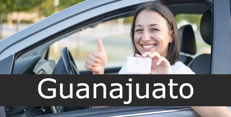 icencia de conducir Guanajuato