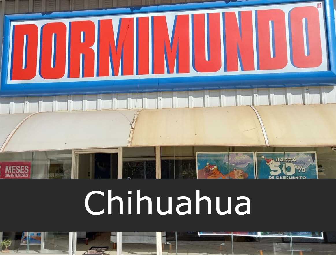 Dormimundo Chihuahua