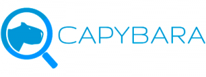 capybara-logo-sticky