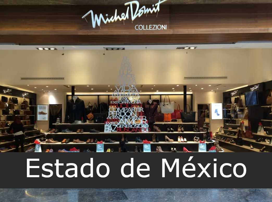 michel domit Estado de México