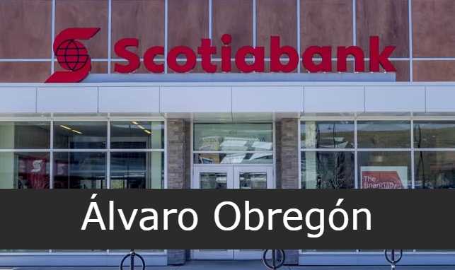 scotiabank alvaro obregon