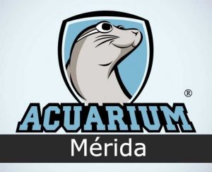 ACUARIUM