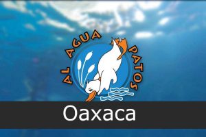 Al agua patos
