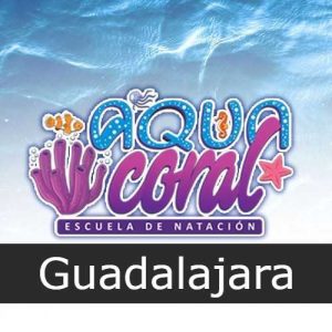 Aqua Coral