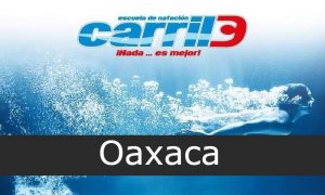 Carril 3