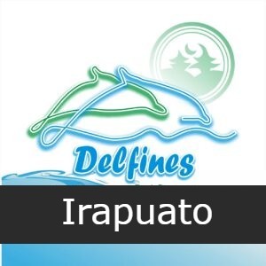 Delfines Del Bosque