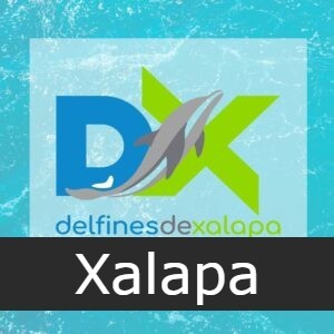 Delfines de Xalapa