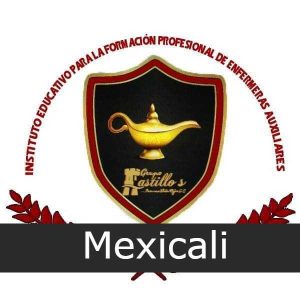 Instituto Educativo Para Enfermeras Auxiliares
