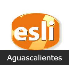 Instituto de Inglés ESLI A.C.