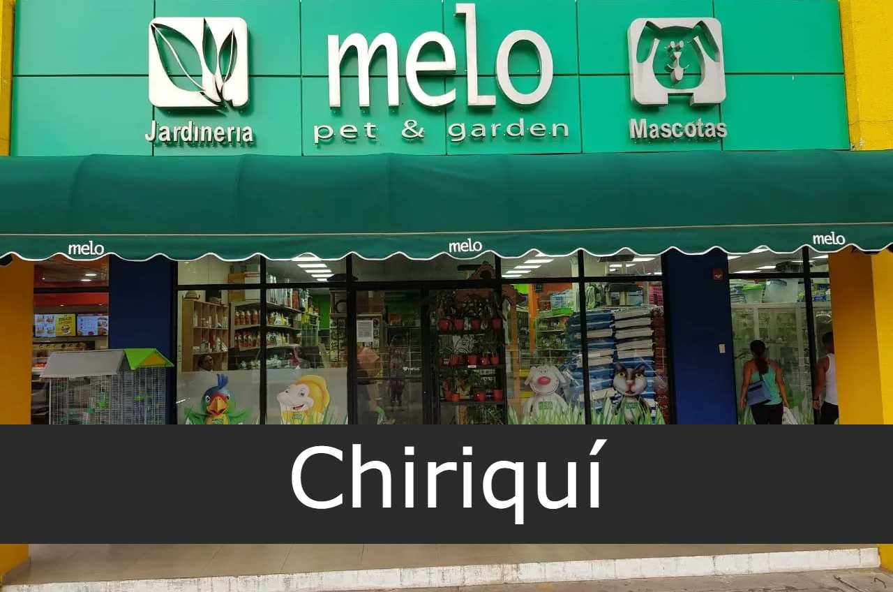 Melo Chiriquí