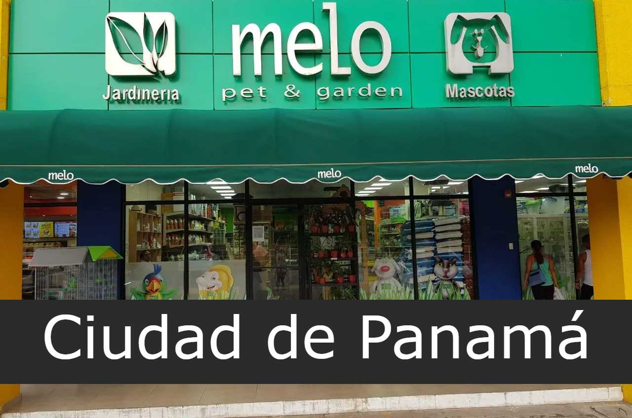 Melo Ciudad de Panamá