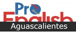 Pro English Academy Sur