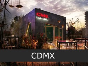 The Contemporary Music School