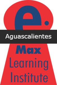 e.Max Learning Institute