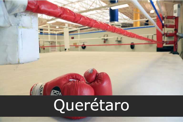 escuela de boxeo Querétaro